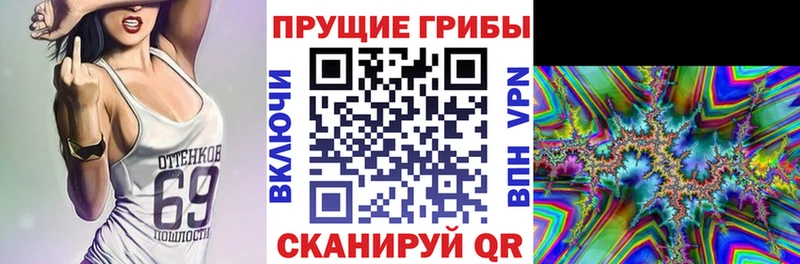 omg ONION Цоци-Юрт Галлюциногенные грибы GOLDEN TEACHER